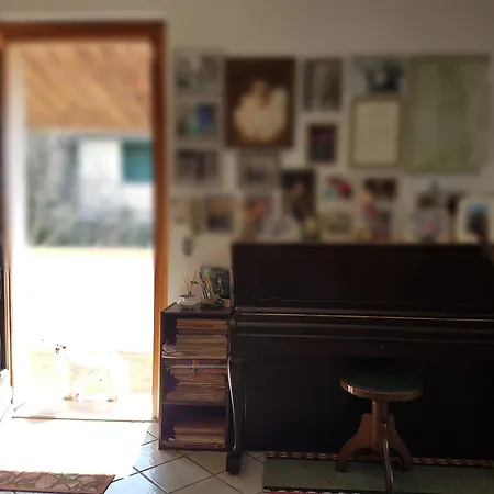 Il Paradiso Di Lucia *